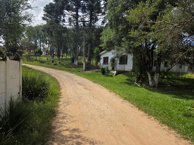 Imagem 19