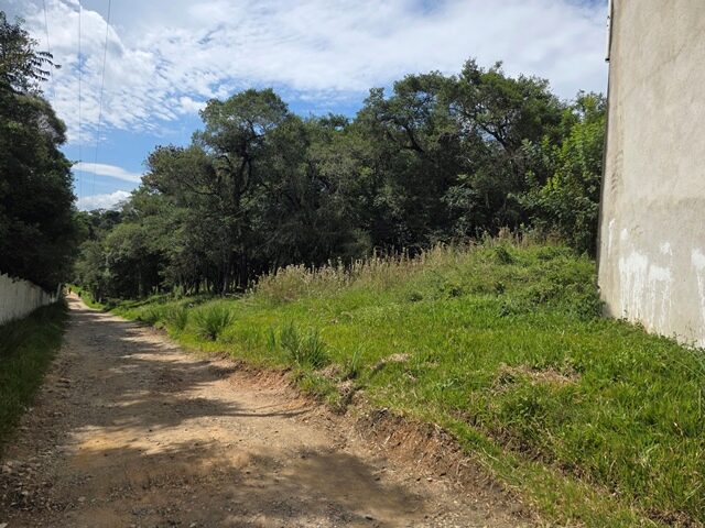 Imagem 11