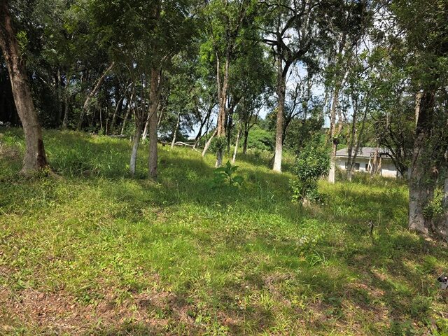 Imagem 32
