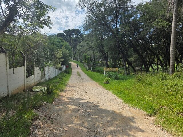 Imagem 15