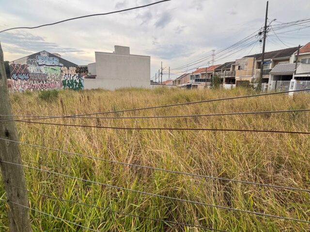 Imagem 12