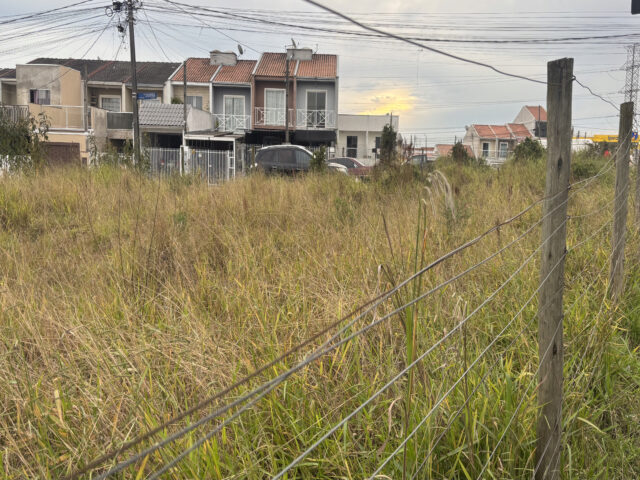 Imagem 11