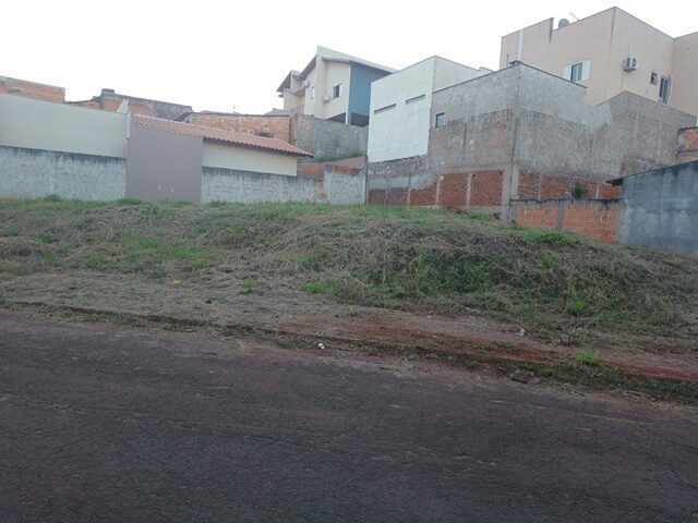 Imagem 2