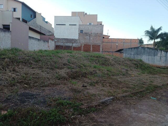 Imagem 3