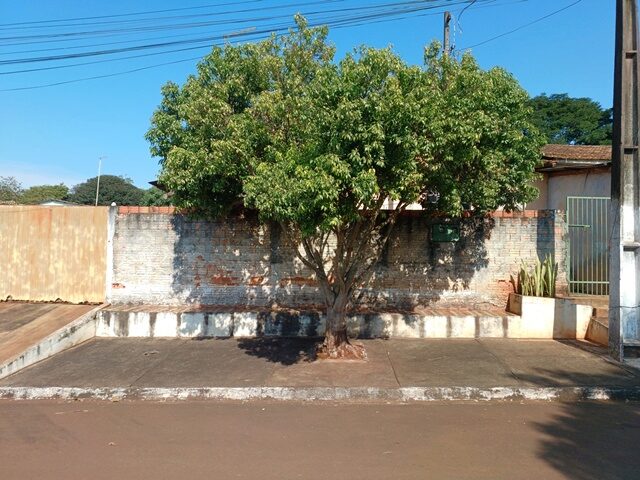 Imagem 4