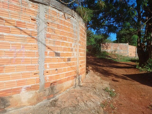 Imagem 3