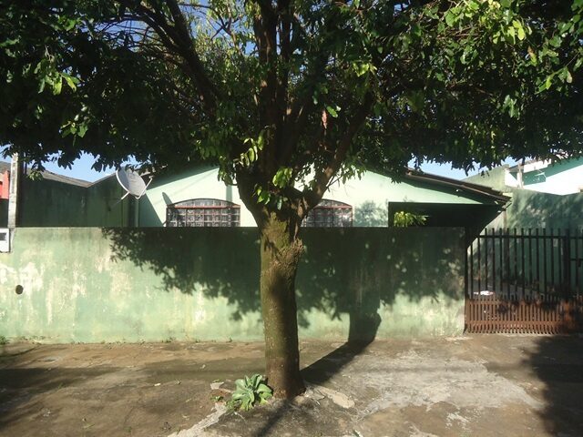 Imagem 4