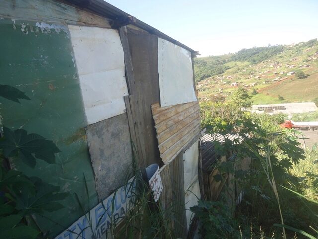 Imagem 5