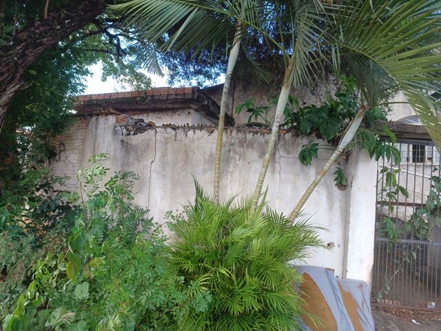 Imagem 2