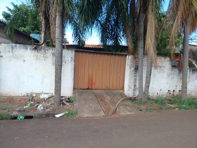 Imagem 3