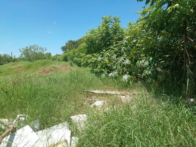 Imagem 5