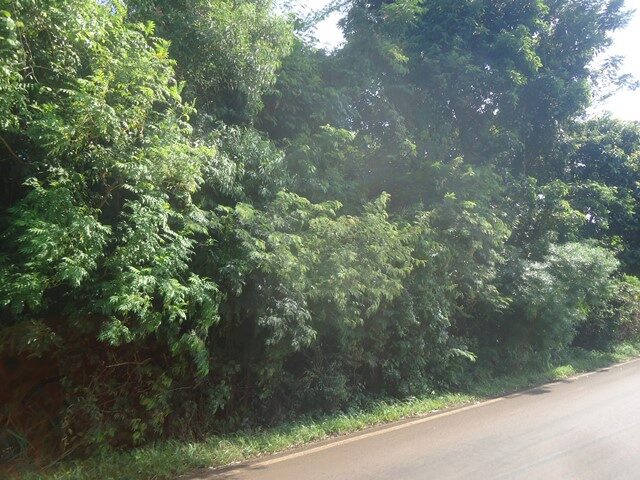Imagem 5