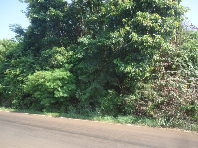 Imagem 4