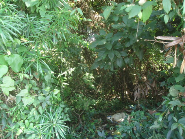 Imagem 6