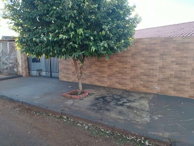 Imagem 7