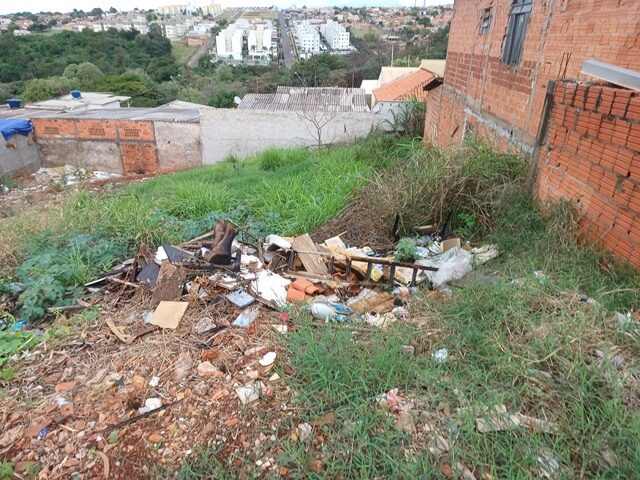 Imagem 1