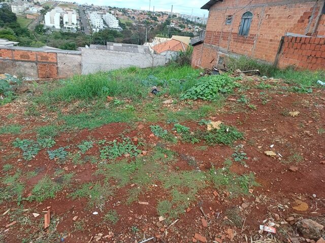 Imagem 3