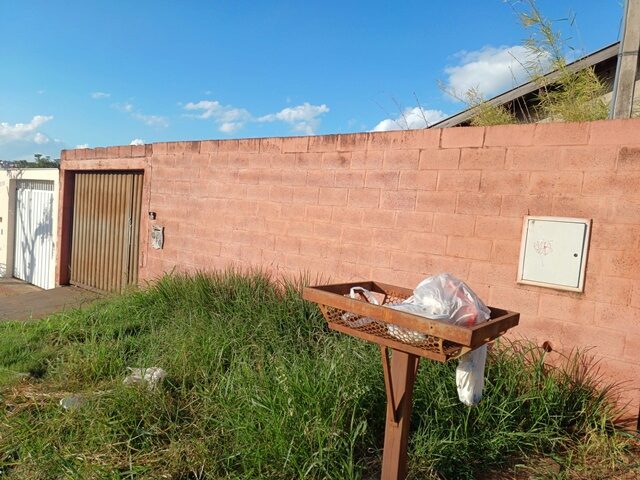 Imagem 3