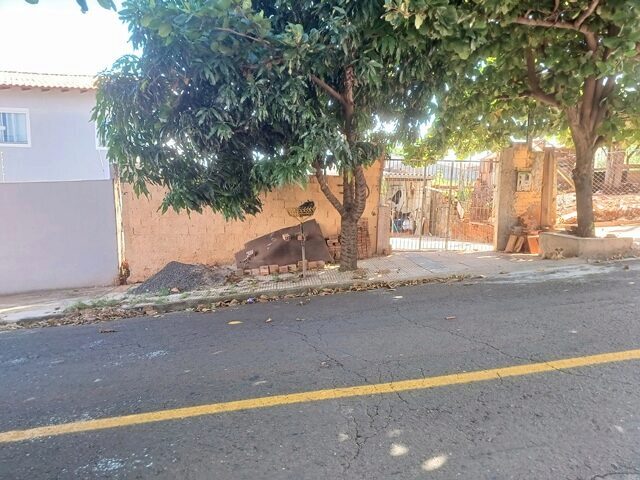 Imagem 7