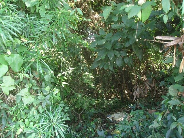 Imagem 5
