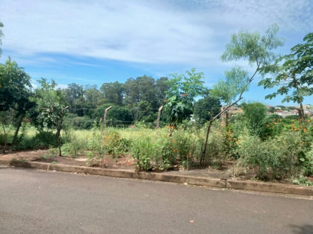 Imagem 2