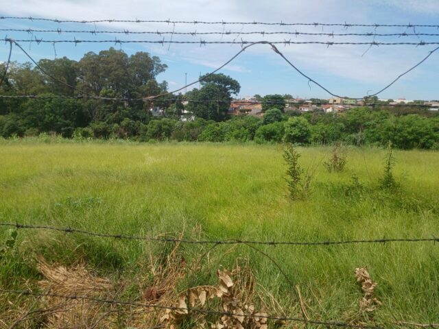 Imagem 5