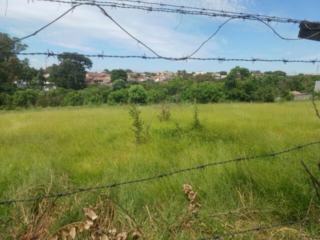 Imagem 6