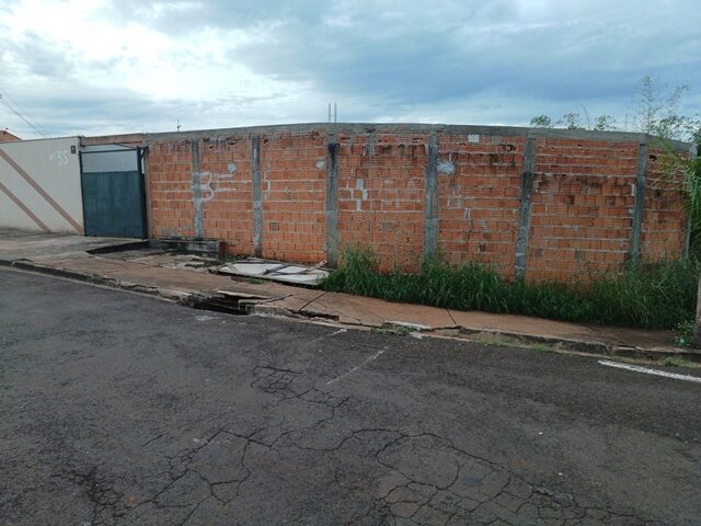 Imagem 1