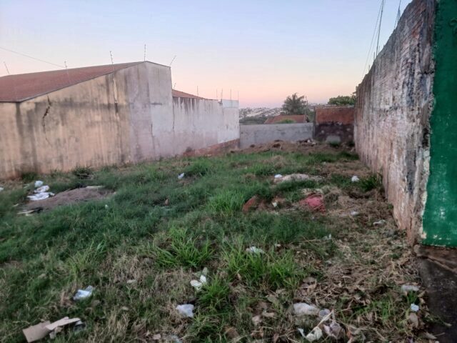 Imagem 2