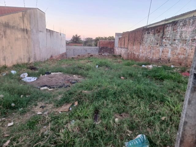 Imagem 3