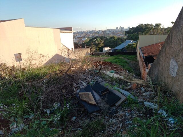 Imagem 1