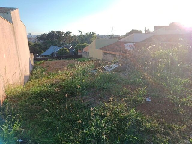 Imagem 6