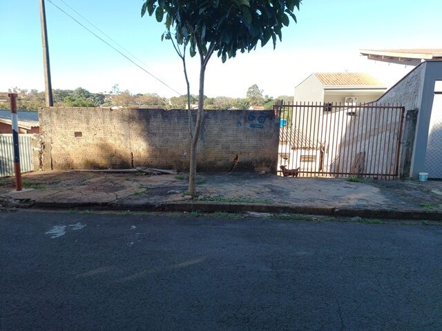 Imagem 2