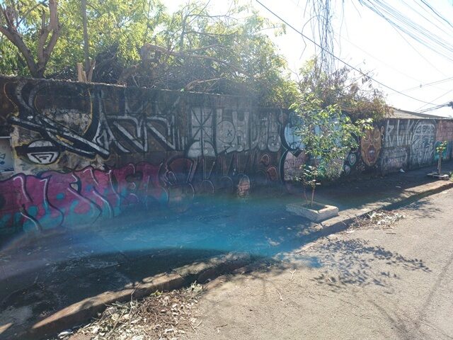 Imagem 3