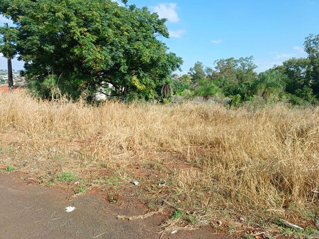 Imagem 2