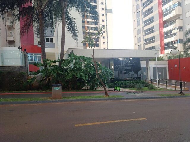 Imagem 3