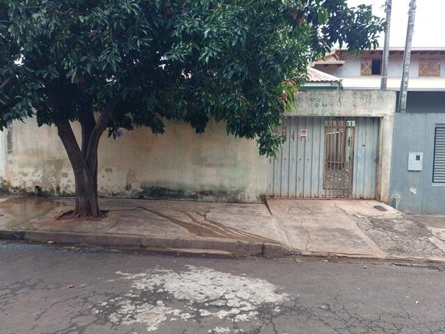 Imagem 4