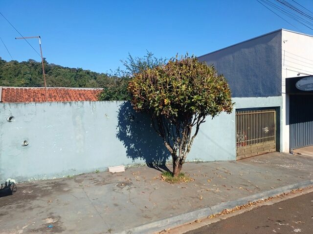 Imagem 1
