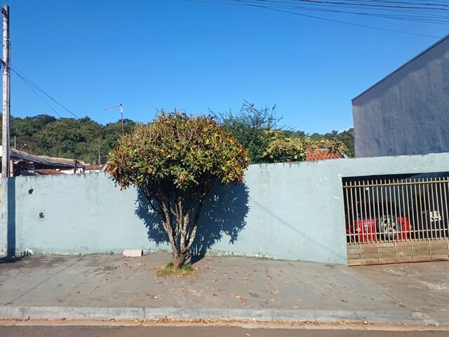 Imagem 5