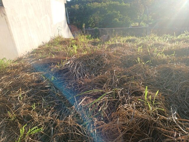 Imagem 3