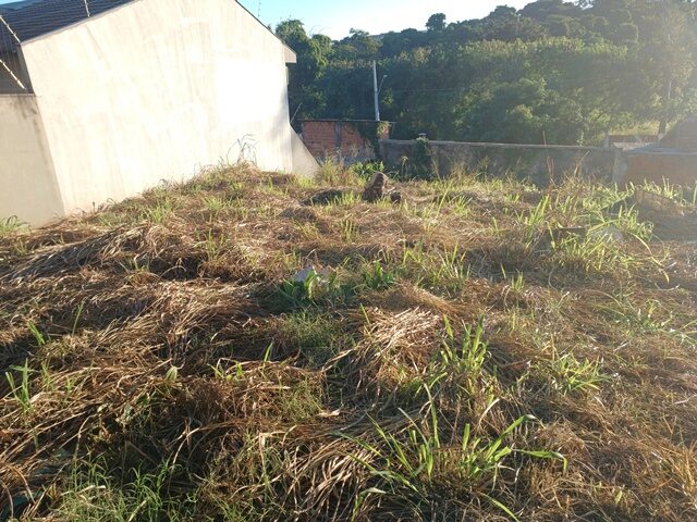 Imagem 4