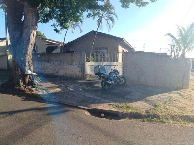 Imagem 3
