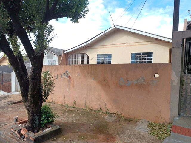Imagem 3