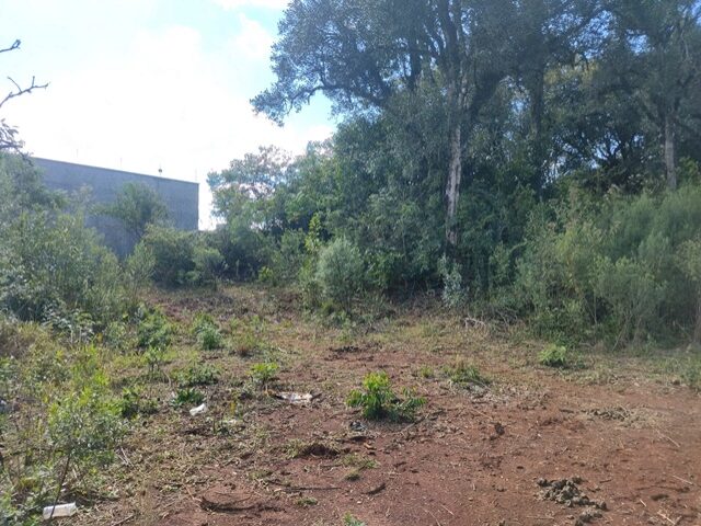 Imagem 12