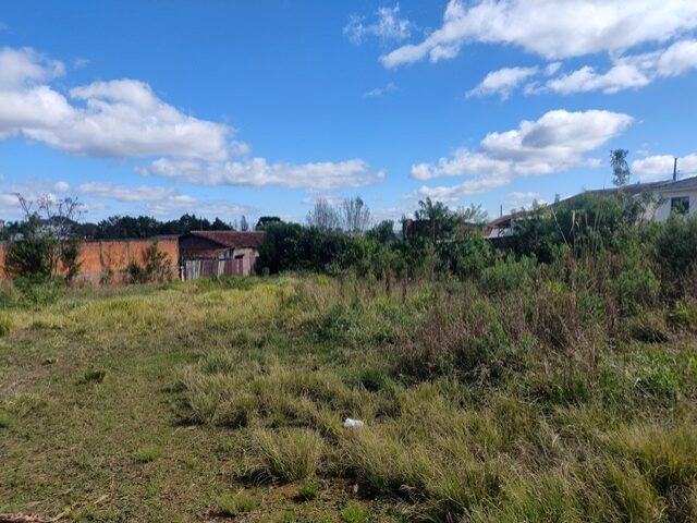 Imagem 4