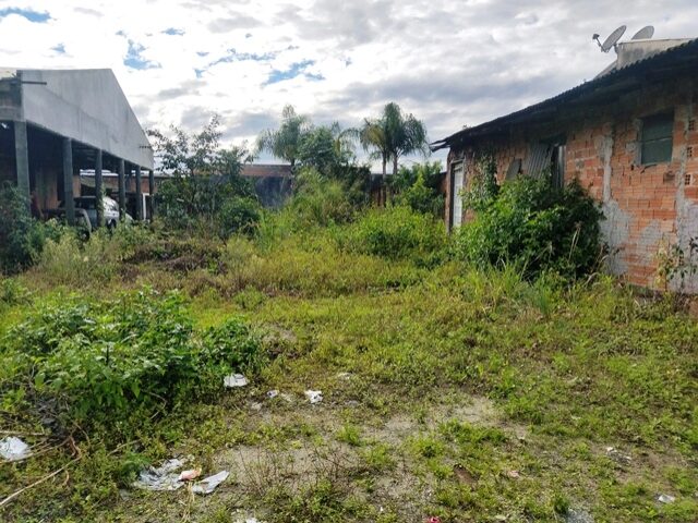 Imagem 6
