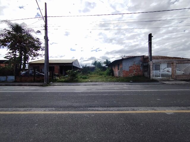 Imagem 8