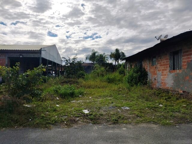 Imagem 3