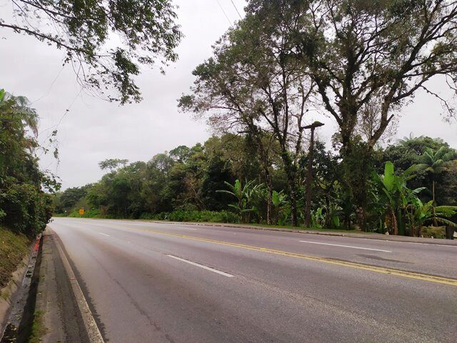 Imagem 3
