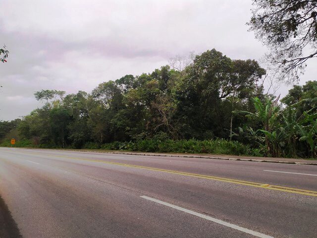 Imagem 4